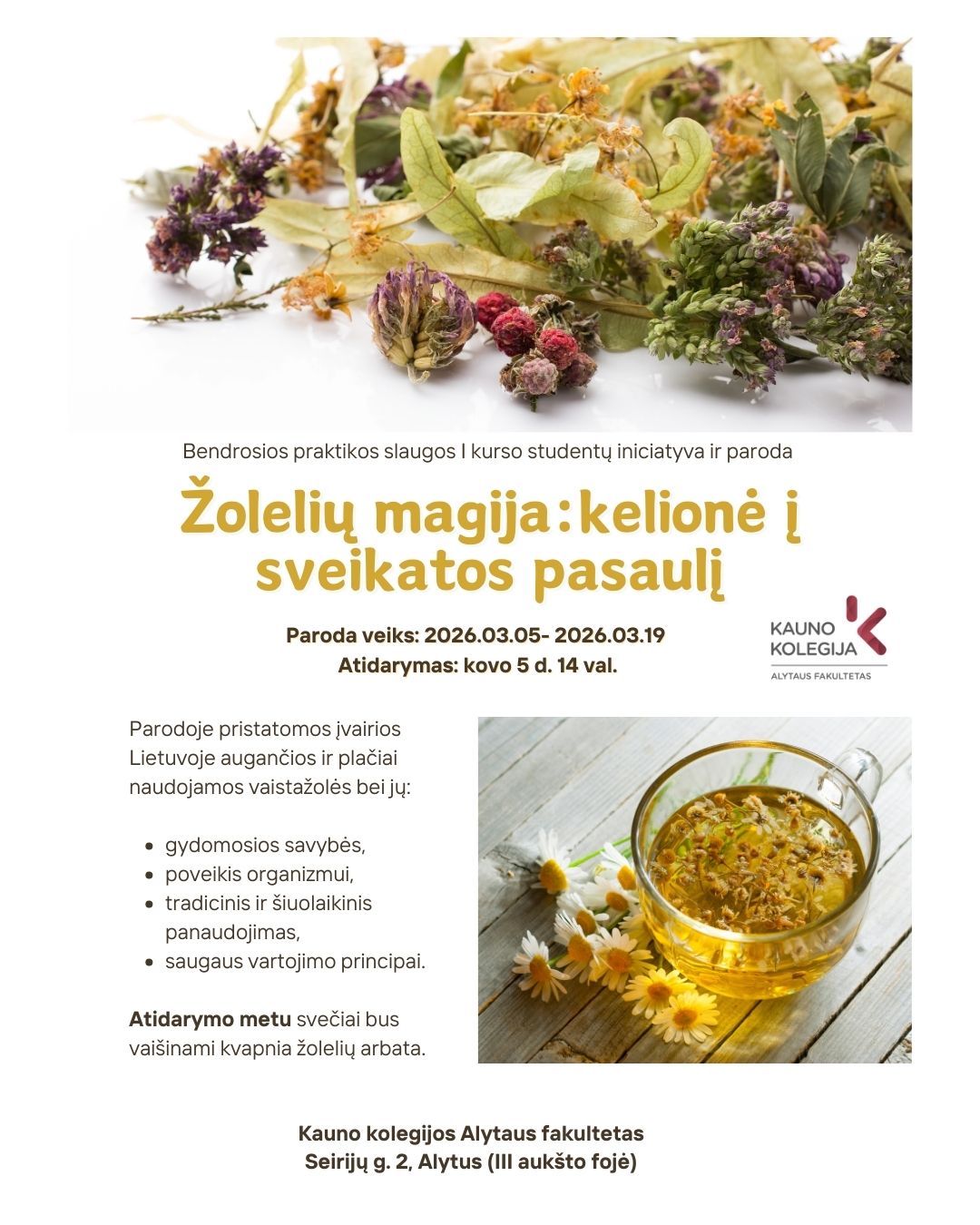 Event gallery image 2