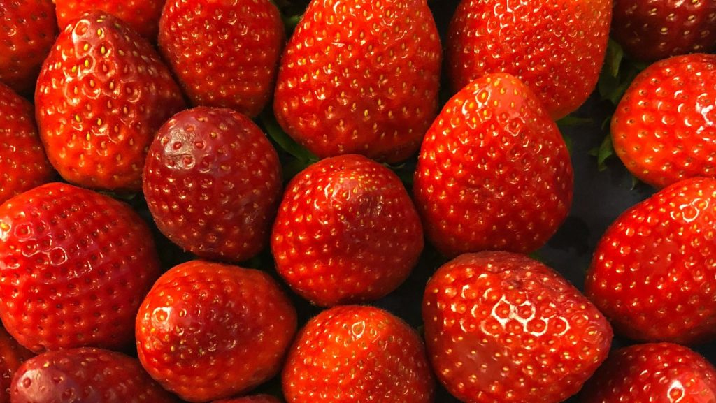 Vaisių ir uogų vyno bei midaus gamybos mokymai