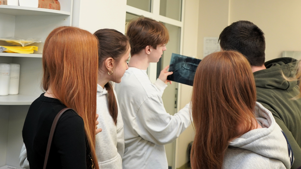 Burnos sveikatos edukacija Kauno kolegijos Medicinos fakultete – Švenčionėlių Karaliaus Mindaugo gimnazijos moksleiviai stebi dantų rentgeno nuotrauką ir susipažįsta su burnos sveikatos tyrimo procesu.