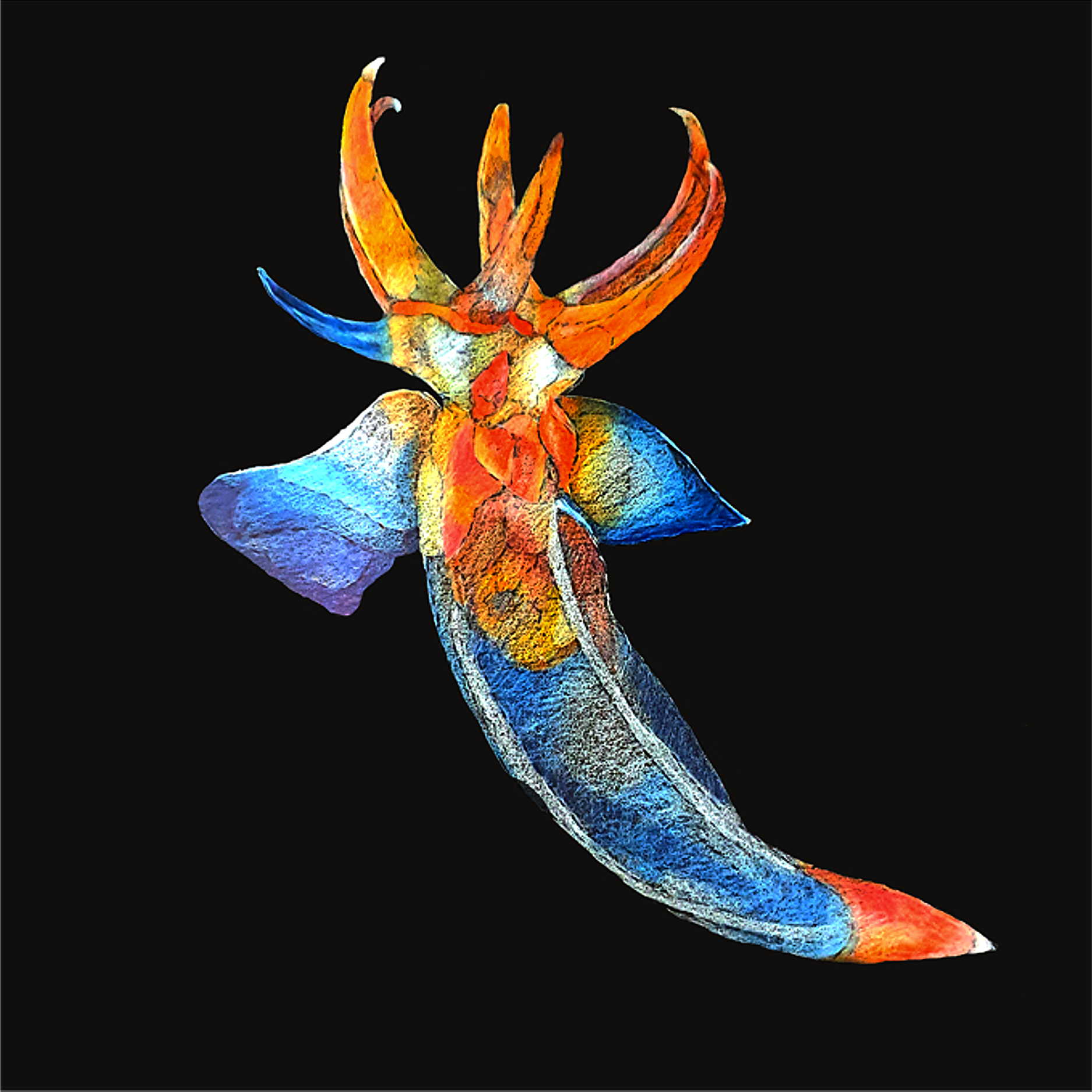 Event gallery image 2