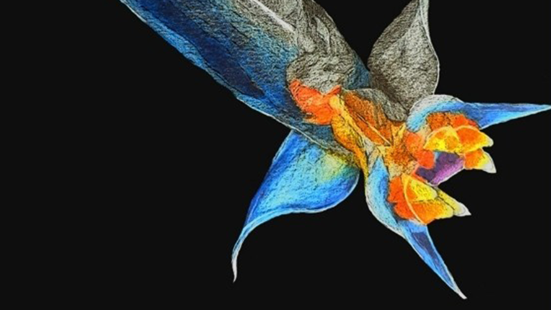 Paroda „Nuo vandenyno gelmių iki graikų mitologijos“