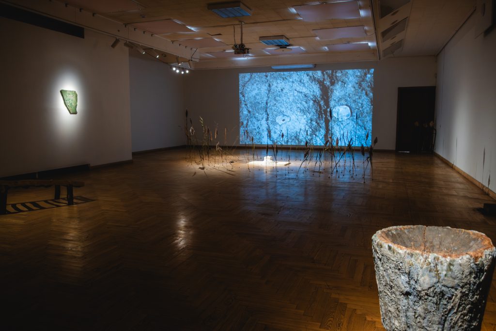 Kauno paveikslų galerija