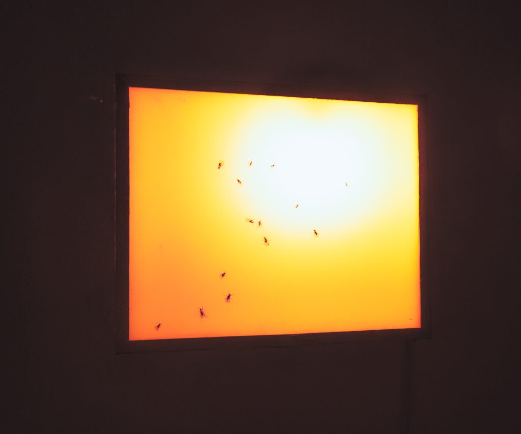 Kauno paveikslų galerija