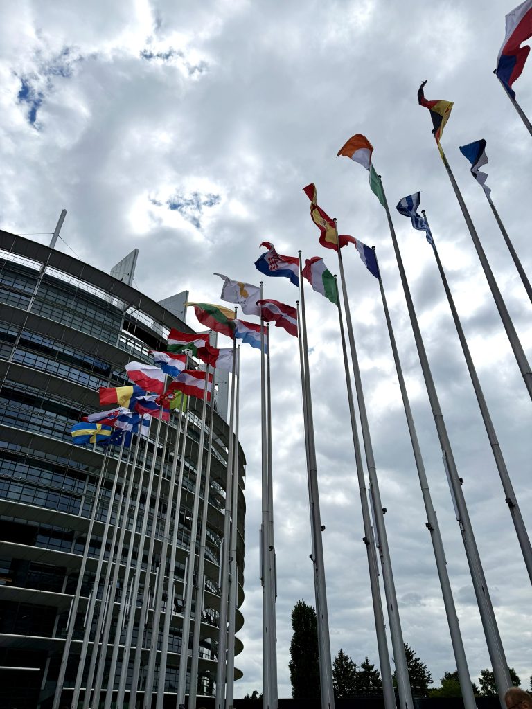 Kauno kolegijos absolventė Greta Slapšytė - Europos Parlamente Strasbūre.