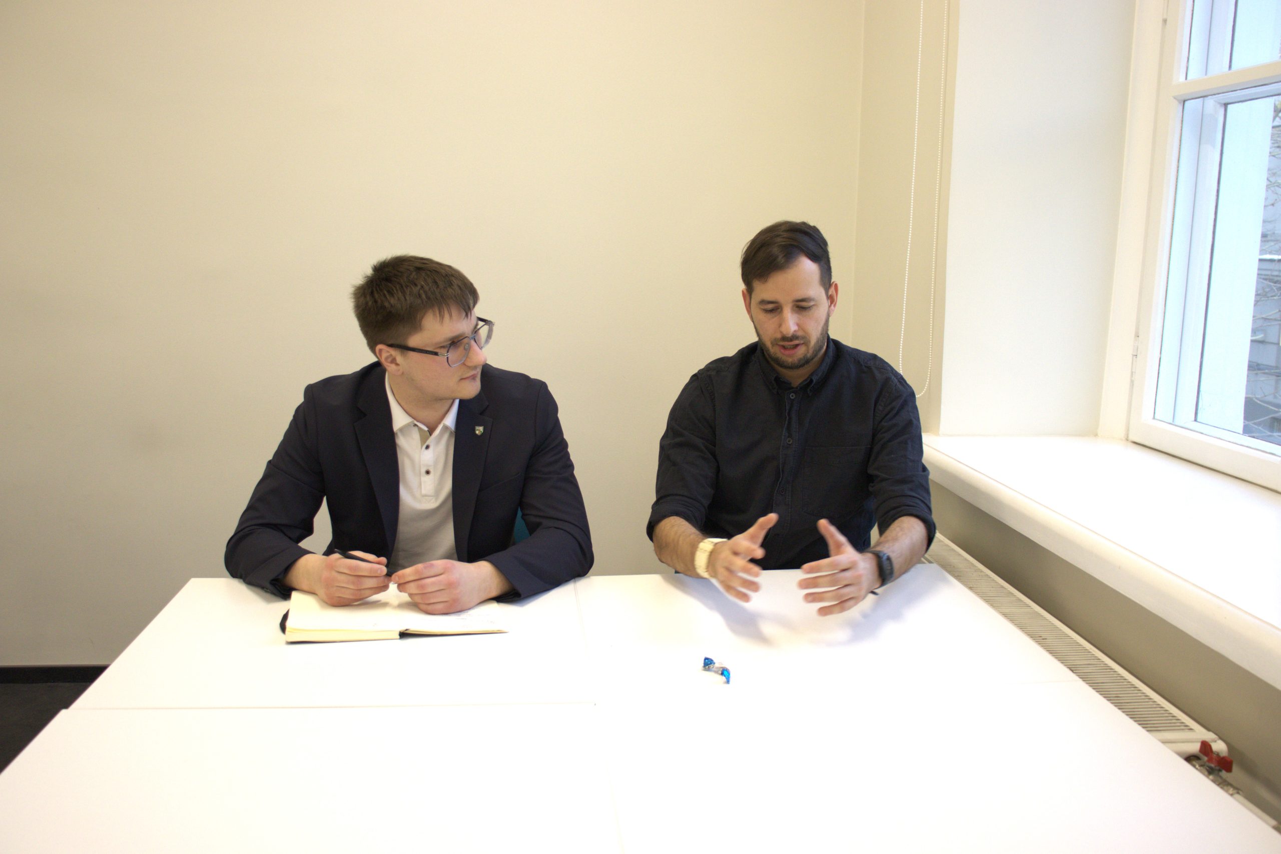 Vykdoma mentorystės sesija